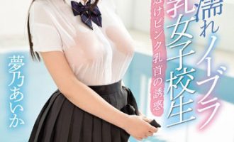 SSNI-058梦乃爱华（夢乃あいか） 透明的布料