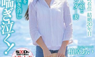 SDNM-246柏原爱（柏原あい） 被蜂拥而来的快乐